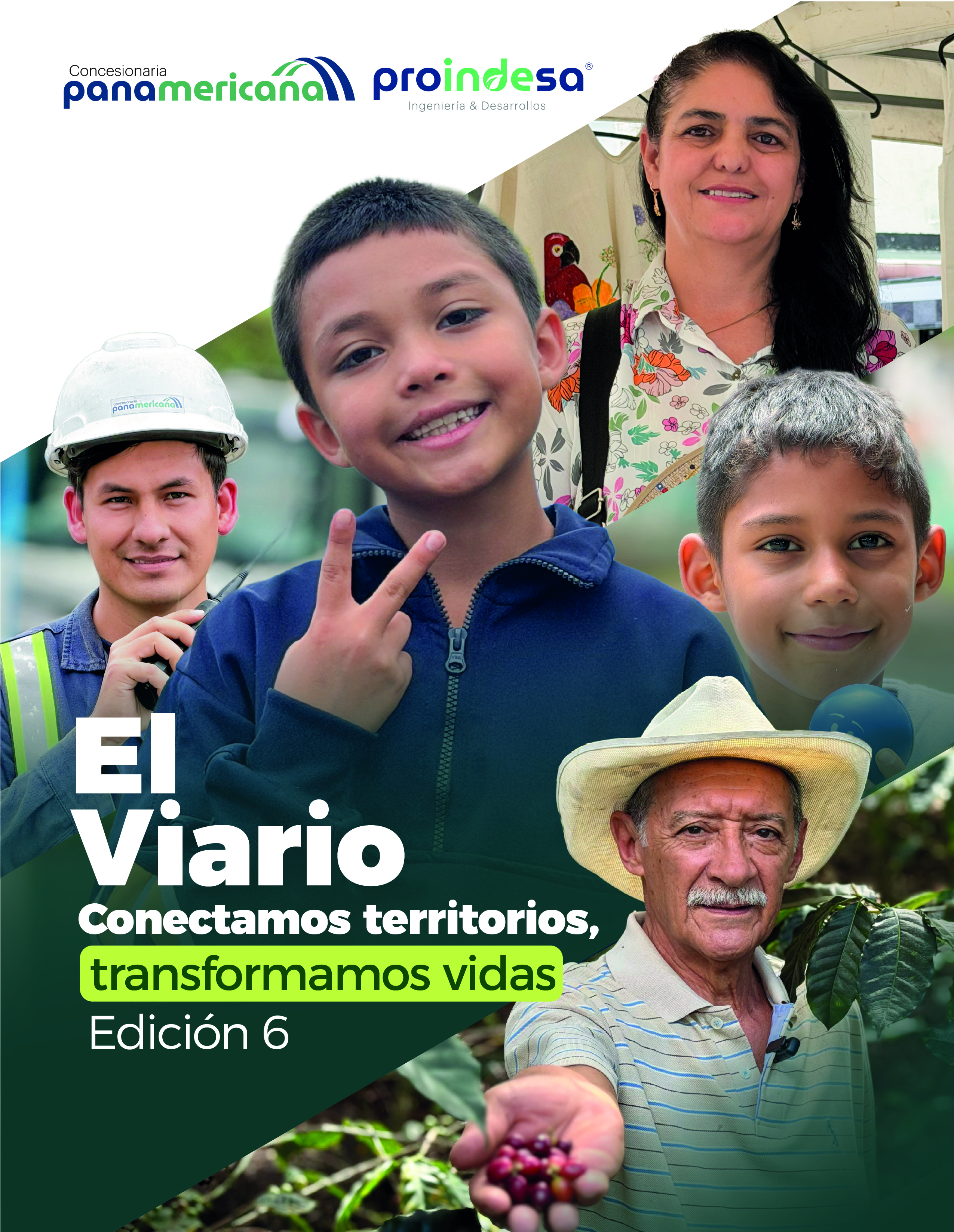 EL VIARIO ED.6